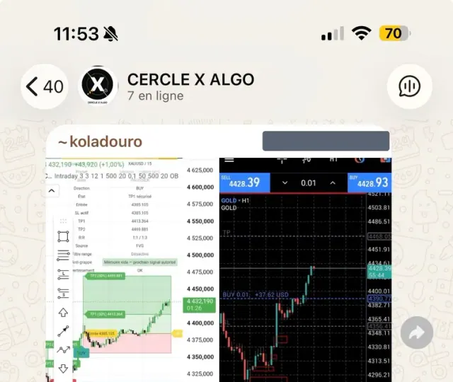 Membre partageant un signal Cercle X Algo suivi sur MetaTrader.